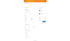 1 column checkout page layout