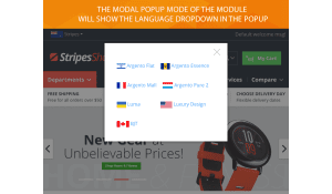 Choose up to 3 modes for flags pictures display with our Magento 2 language switcher flags module