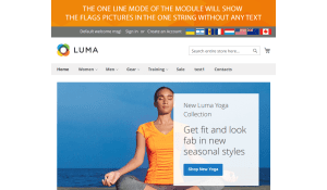 Choose up to 3 modes for flags pictures display with our Magento 2 language flags switcher module