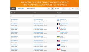 The module uses the default Magento interface to help you assign flag images