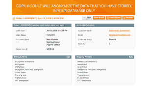 The look of anonymised order page.