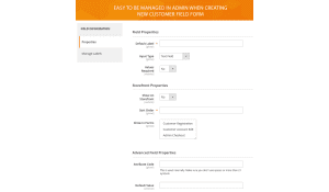 Specify field's properties when creating new customer field form.