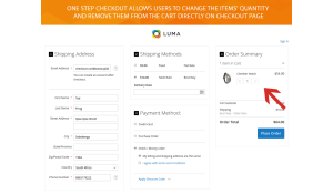 Ability to change the products' number on checkout page