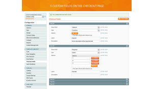 Custom checkout fields with additional content