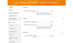 Resolve a Magento 2 duplicate content problem for better SEO