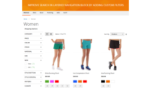 Magento 2 layered navigation custom filters