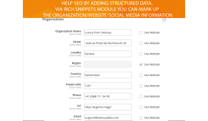 Rich Snippets module's settings for organization markup