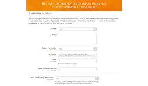 The module includes extended settings for lazy loading option