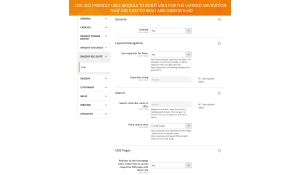 Configuration of SEO friendly URLs module