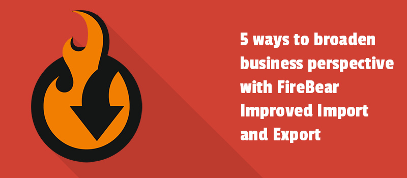 5 ways to broaden business perspective with FireBear Improved Import and Export